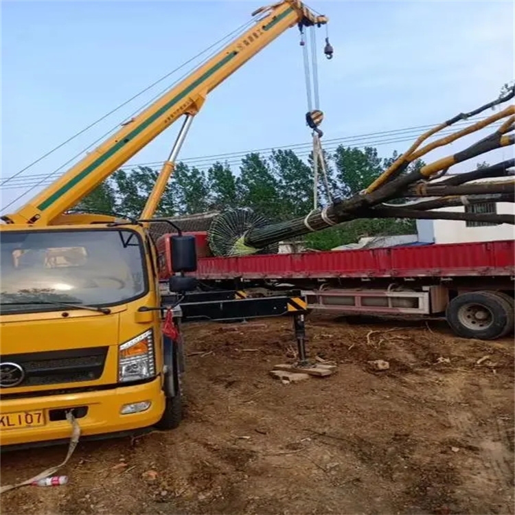 通海口镇100吨吊车租赁费用怎么算？3大关键因素+省钱技巧全解析